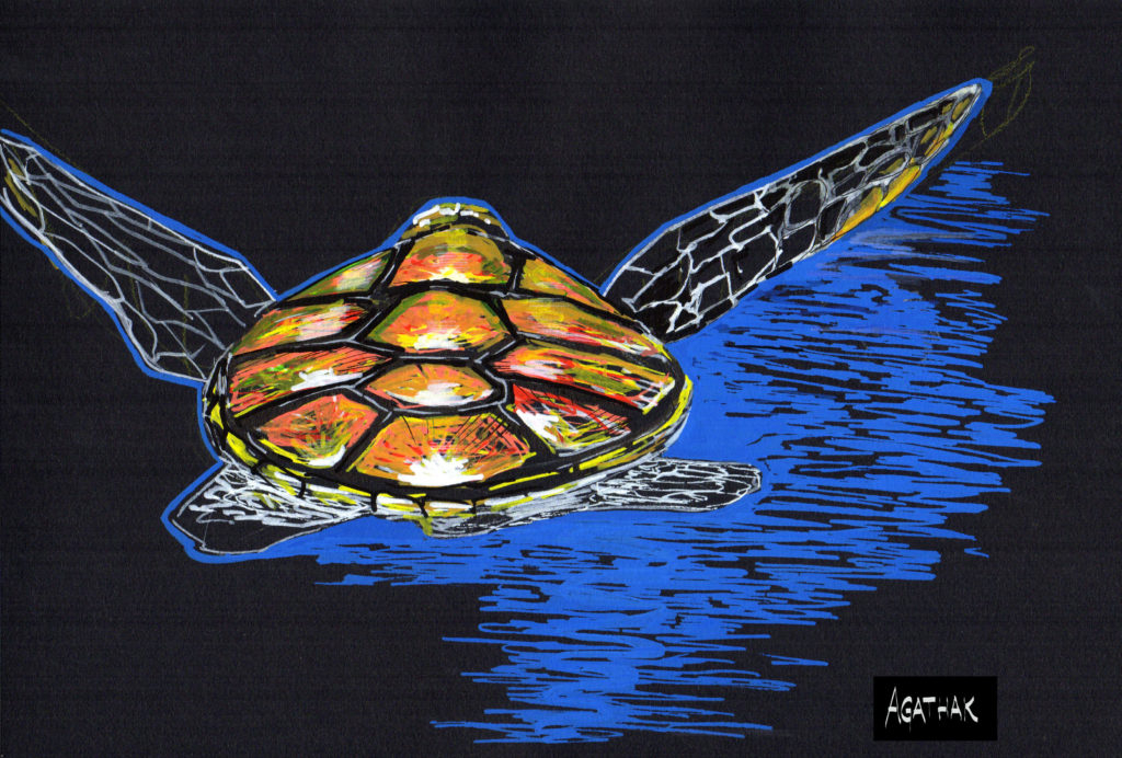 3tortuevolante