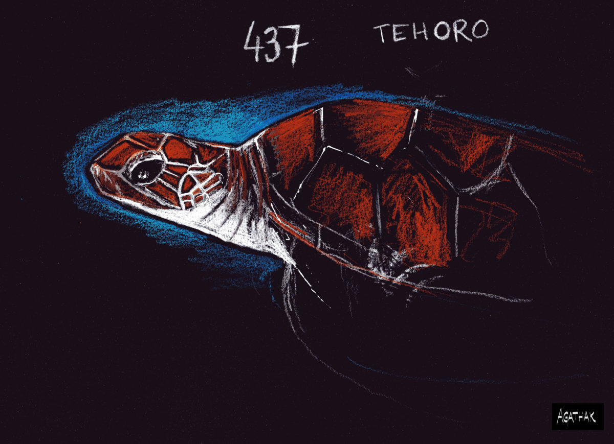 Arrivée de Tehoro