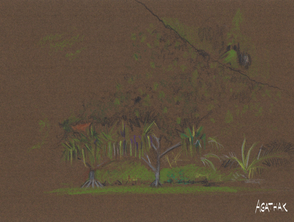 paysage-pas-fini