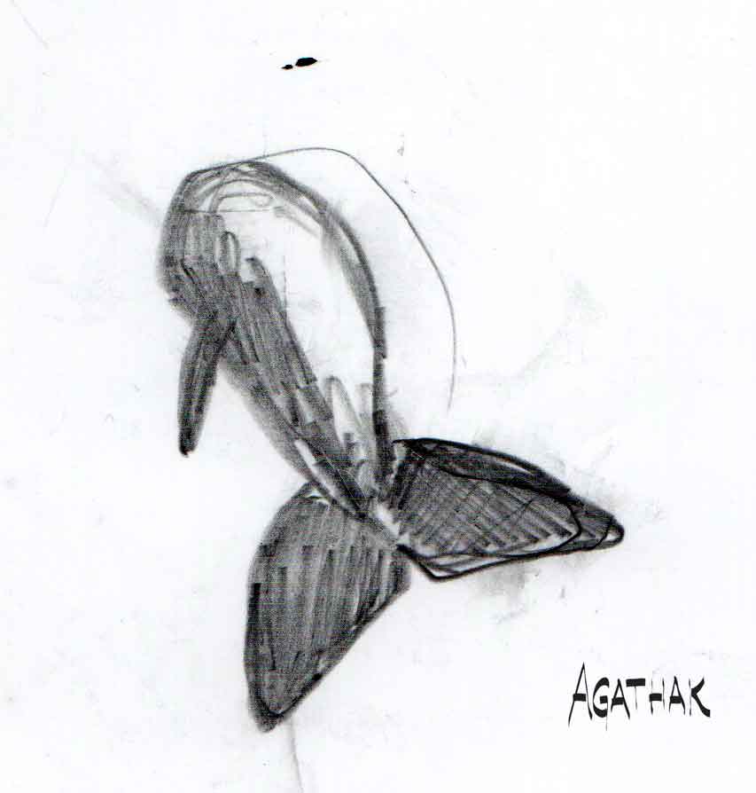 Dessin sous l&rsquo;eau