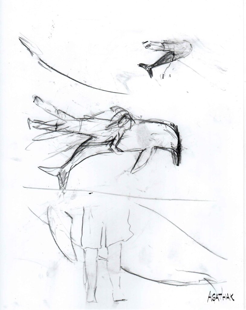 taille-dauphin